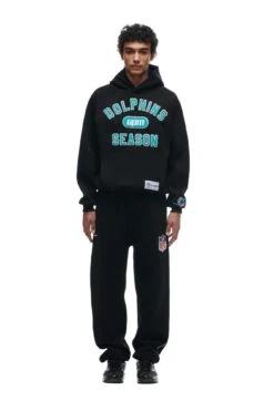 DOLPHINS SEASON HOODIE(Dolphins Season Hoodie)