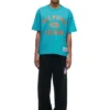 DOLPHINS SEASON T-SHIRT(Dolphins Season T Shirt)