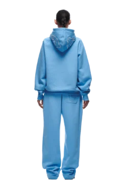 ICONS HOODIE SKY BLUE(Icons Hoodie Sky Blue) -6pm Season tr icon hoodie blue8 min