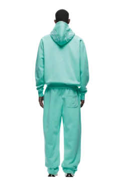 ICONS HOODIE LIGHT MOSS(Icons Hoodie Light Moss) -6pm Season tr icon hoodie tiffany4 min